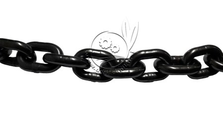 VERIGA GOZDARSKA 8/3000